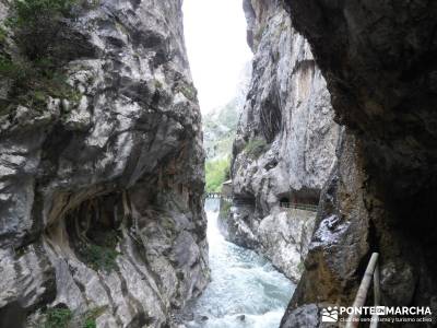 Ruta del Cares - Garganta Divina - Parque Nacional de los Picos de Europa;grupos de senderismo en ma